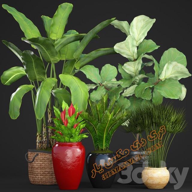 آبجکت گل و گیاهان طبیعی-3dmaxyar.com