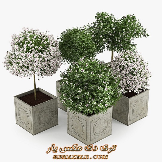 آبجکت آماده گل و گیاهان طبیعی برای تری دی مکس - 3dmaxyar.com