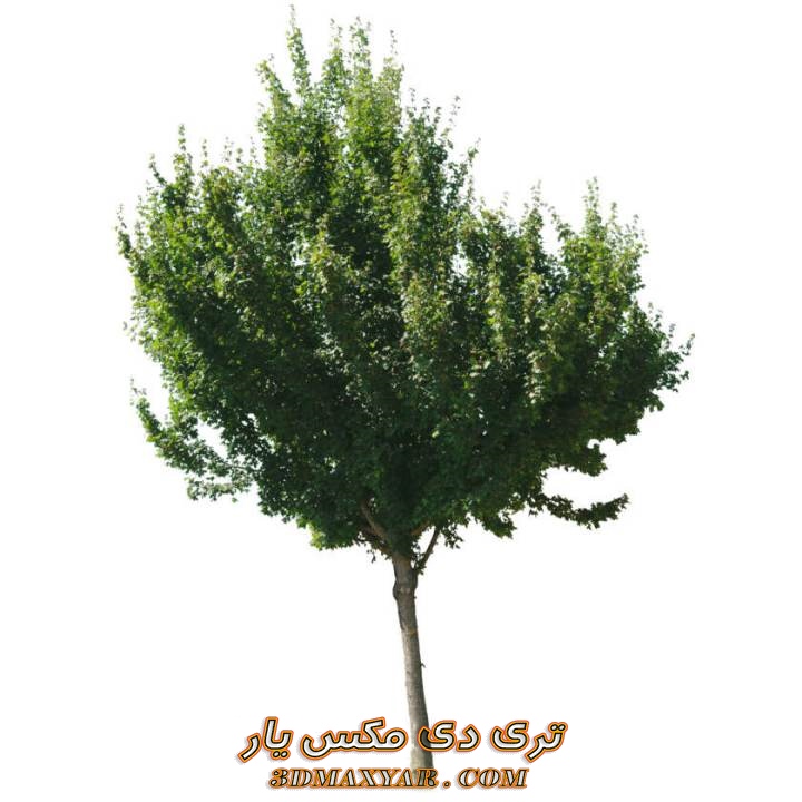 تکسچر pbr درخت-3dmaxyar.com