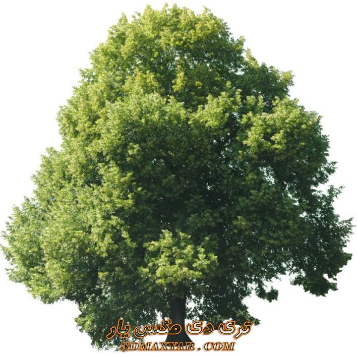 تکسچر pbr درخت-3dmaxyar.com