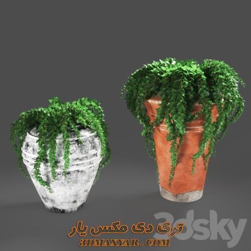 دانلود رایگان آبجکت گل و گیاه برای تری دی مکس شماره 55