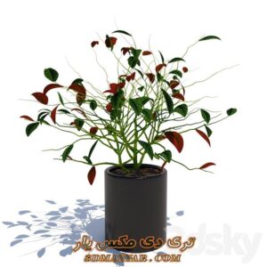 دانلود رایگان آبجکت گل و گیاه برای تری دی مکس شماره 59