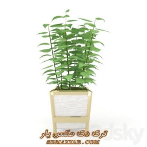 دانلود رایگان آبجکت گل و گیاه برای تری دی مکس شماره 62