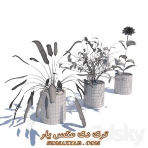 دانلود رایگان آبجکت گل و گیاه برای تری دی مکس شماره 59