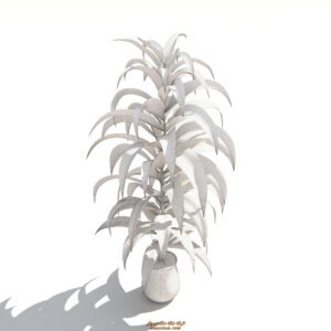 دانلود رایگان آبجکت گل و گیاه برای تری دی مکس شماره 50